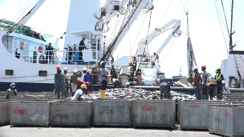 Ghana's tuna industry in crisis as 20 hook-and-line vessels collapse  