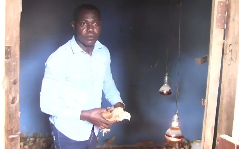 Hemang Nsuaem Basic School ventures into poultry farming to demonstrate Nkoko Nkitinkiti programme