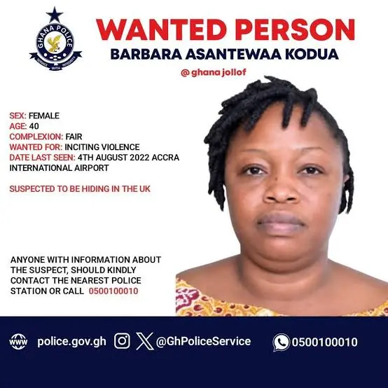 I dare Ghana gov't to extradite me; they can never do it - Ghana Jollof speaks