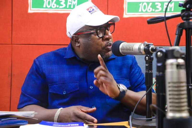 NPP Vice Chair race: I may be the youngest, but most experienced - Nana B