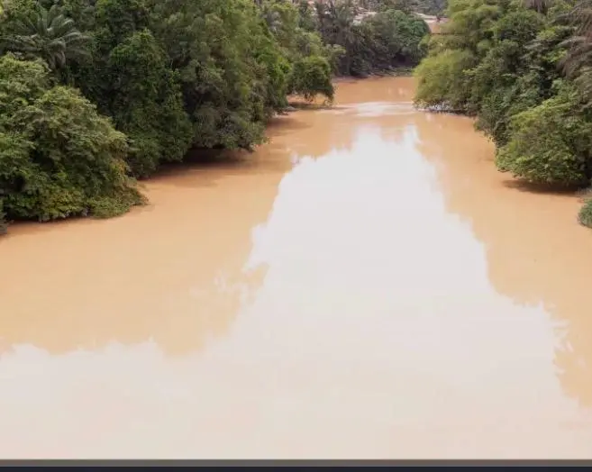 World Rivers Day: Berekum residents call for stronger measures against galamsey and illegal logging