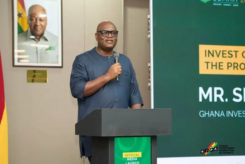 GIPA CEO calls for investment to support Ghana's economic transformation