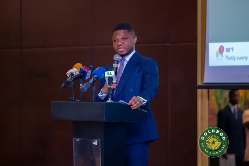 GoldBod targets bigger stake for Ghana in new mines through geological studies