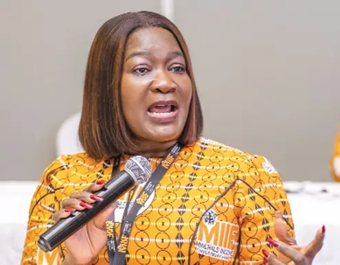 Investment, regional cooperation key to African mineral value addition - MIIF CEO