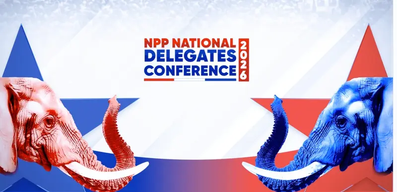NPP set to elect national executives ahead of 2028 elections