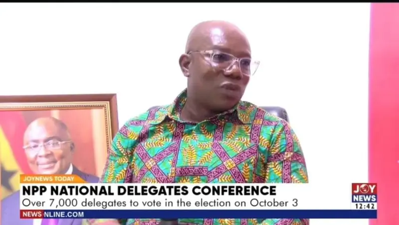 NPP sets up 31 voting centres to speed up national  executive  elections