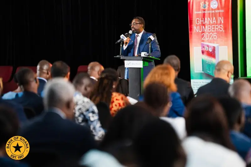 Stable economy, cheaper credit key to youth jobs - BoG Governor