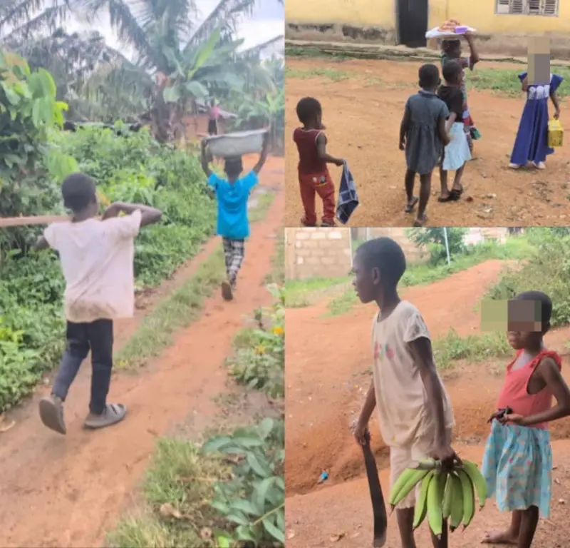 Teachers' strike: Old Edubiase Methodist Basic School pupils turn to trading, farming