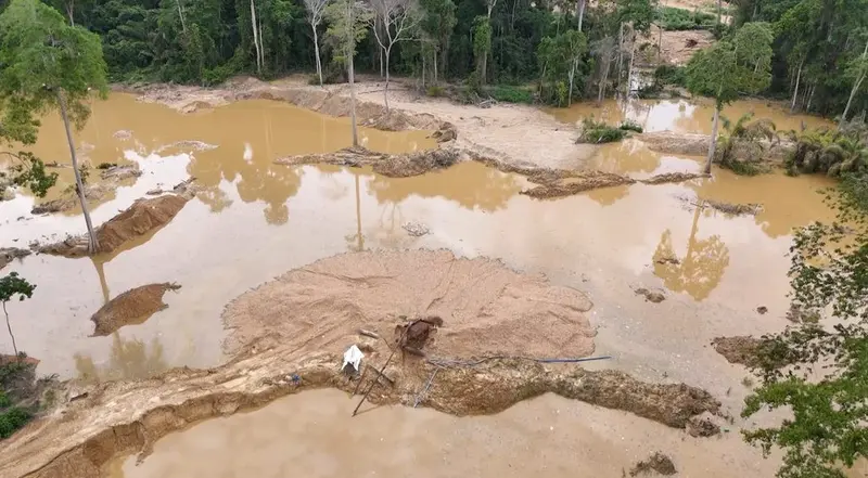 We need to hold political actors in galamsey-affected areas accountable - Awula Serwah