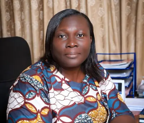 Yellow fever response too slow - SEND Ghana tells gov't